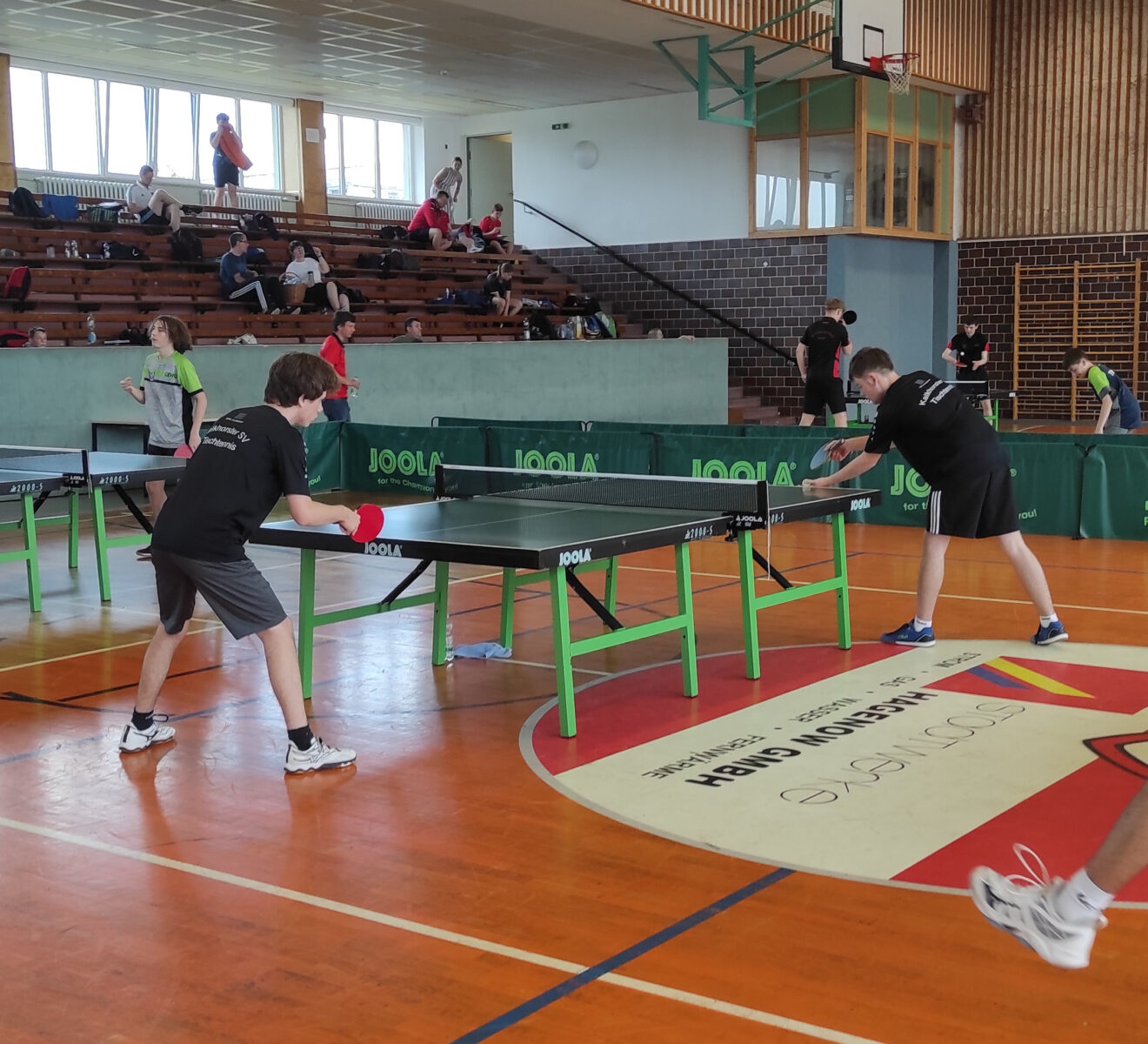 Tischtennis Hagenow